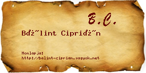 Bálint Ciprián névjegykártya